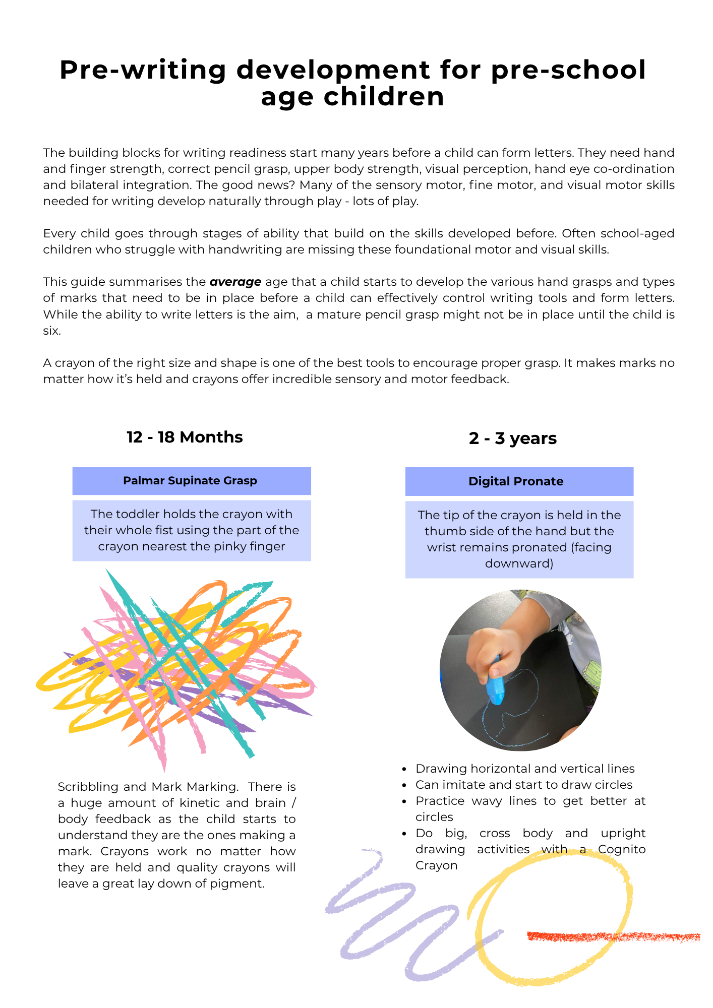 Cognito Crayons bulk bundles and box